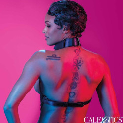 Calexotics - Euphoria Harnais Collier Multi Chaînes